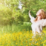 Online cursus vergeving